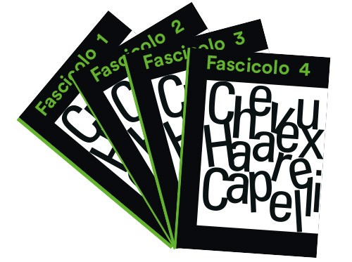Fascicoli 1 - 4 con e-book